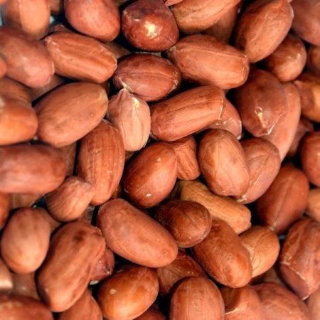 Arahide nedecojite coapte si sarate, 500 g - Img 2