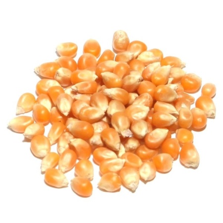 Porumb popcorn, 500 gr - Img 2
