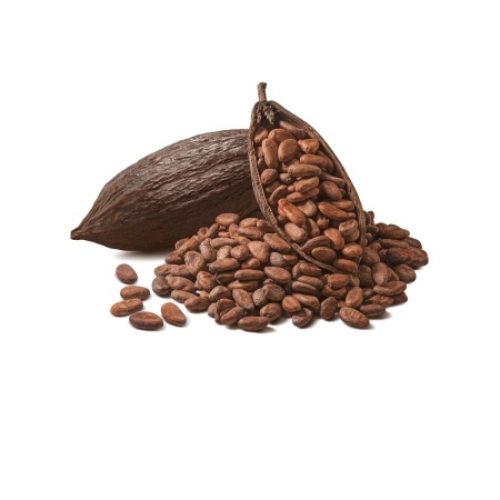Boabe cacao Criollo BIO, 100 gr - Img 2