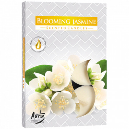 Set de 6 lumanari parfumate, Iasomie, PM540523