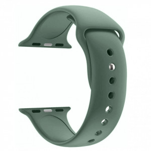 Curea de silicon pentru Apple Watch, Verde, 42/44mm/L, PM-0058-V1