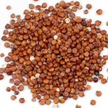 QUINOA ROSIE 1KG