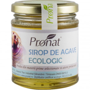 SIROP DE AGAVE ECOLOGIC 220 G