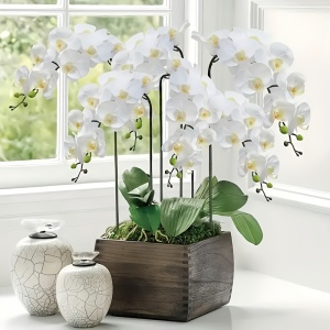 Tulpina eleganta de orhidee cu 9 flori realiste, TMXR1281711