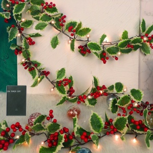 Ghirlanda Festiva de Craciun, 1.7 metri, 30 LED, TMTH312228 - Img 2