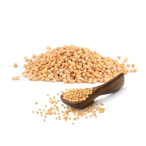 BOABE DE MUSTAR 1KG