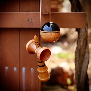 Kendama pentru începători și profesioniști, TMDB49382 - Img 5