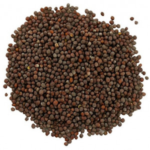 Boabe de mustar brun 100g