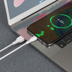 Borofone Cablu BX51 Triumph - USB to Tip C - 3A 1 metre alb - Img 2