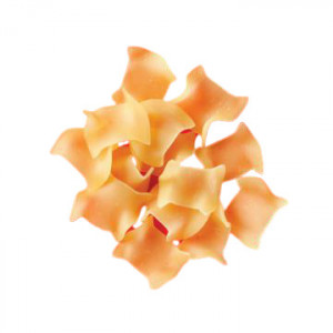 Taitei patrate mari 800g