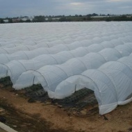 ARCADE TUB PVC 11 - 1.5 ML - ALB