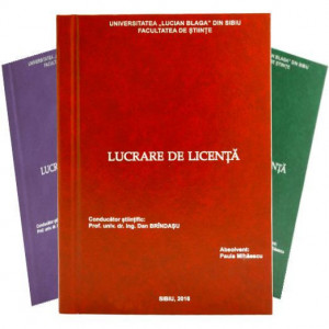 Coperta Lucrari Licenta, Dizertatie, Surub sau Sina, LA URGENTA