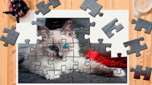 Puzzle Cartonat Din A4 Cu Chenar - Img 1