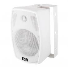 Boxa de perete 40W 100V