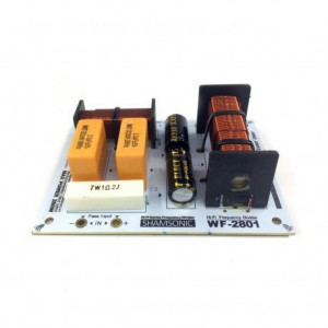Filtru profesional 2 cai