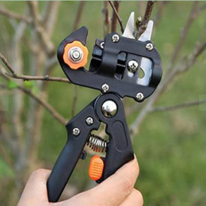 Cleste pentru altoit profesional, cod 0030zd - Img 2