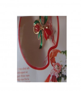 Martisor Floricica cu Buburuza