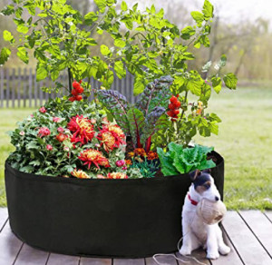 Ghiveci Mic, Sac de Gradinarit din Fetru, Diametru 60 cm, Reutilizabil Pentru Plantare si Crestere Plante - Img 5