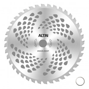 DISC MTC CU VIDIA ALTAI 255MM 40T NR 10 CMP0813 - Img 1