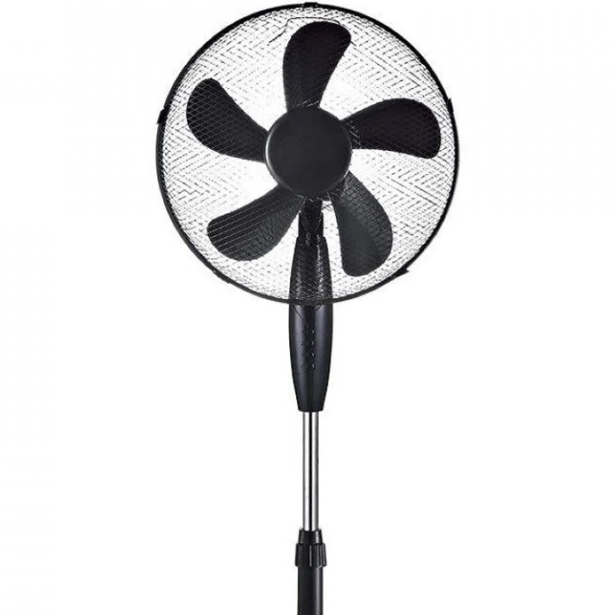 Fans