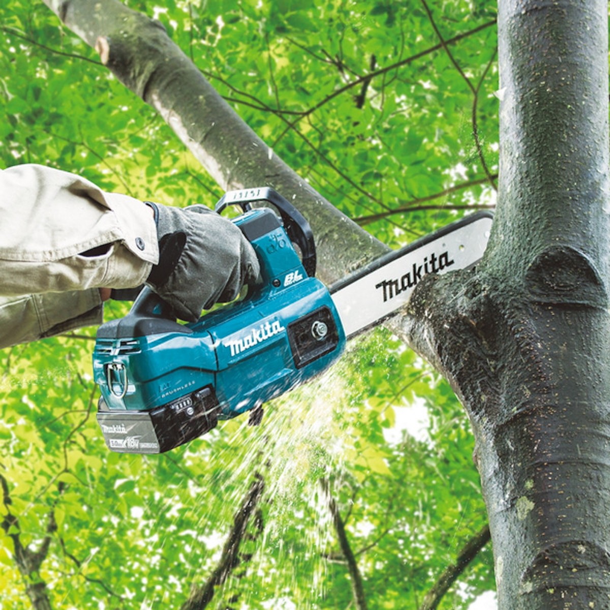 Chainsaws