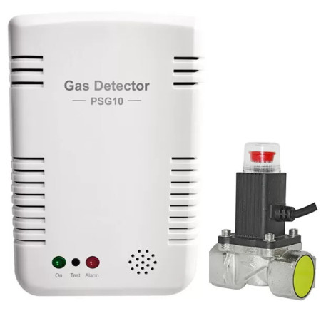 Detector inteligent gaz Poer si Electrovalva gaz