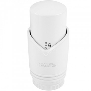 Cap termostatic GT30