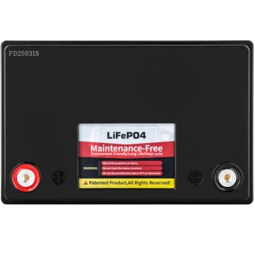 Eticheta Acumulator LiFePO4 12.8V 100Ah cu BMS Vipow BAT0496 | Termix