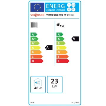 eticheta energetica Vitodens 100-W 25 B1KG