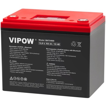 Acumulator LiFePO4 12V 100Ah cu Bluetooth Vipow | Termix.ro