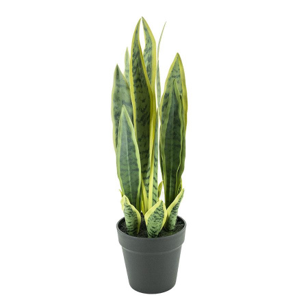 SANSEVIERIA MICA - PLASTIC - VERDE - 18(L) x 55(h) x 18(l)