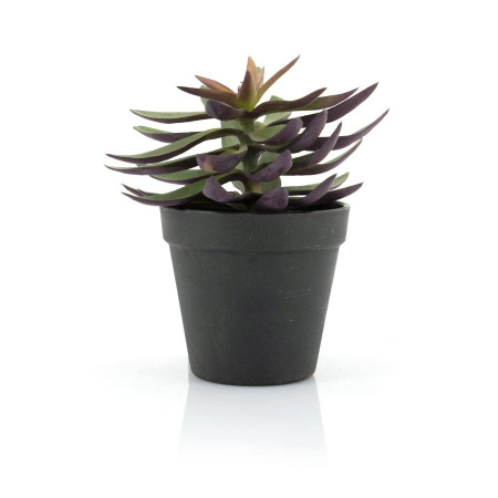 SUCULENTE 2 - PLASTIC - VERDE - 18(L) x 18(h) x 18(l)