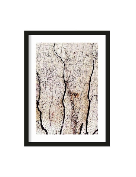 TABLOU - CORAL MOALE - 40 X 50 (CM)