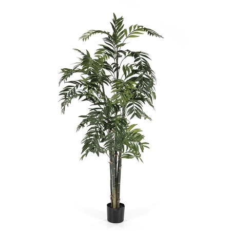 GROOT PENTRU PLANTE DE BAMBUS - - MULTICOLOR - 70(L) x 70(l) x 180(h)