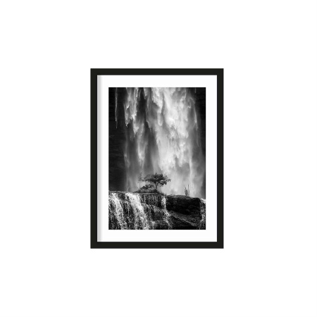 TABLOU - GERMINATE - 50 X 70 (CM)