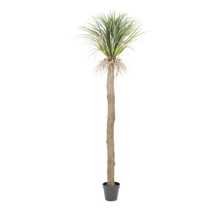 ARBORELE DE YUCCA SALBATIC MARE - POLIESTER/PLASTIC - MULTICOLOR - 33(L) x 244(h) x 28(l)