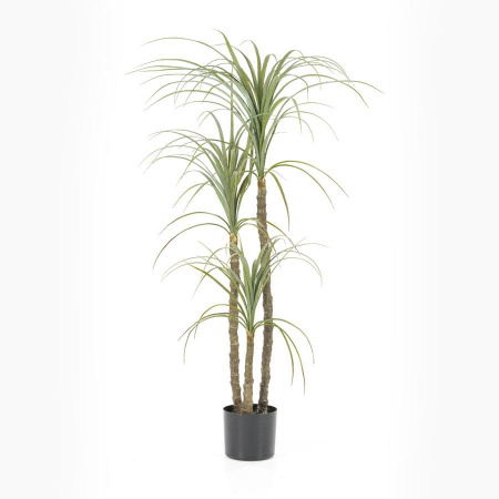 TULPINA DE YUCCA 3 - POLIESTER/PLASTIC - VERDE - 56(L) x 122(h) x 56(l)