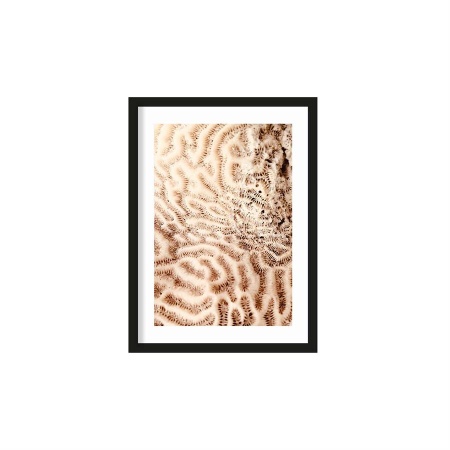 TABLOU - CREIERELE MARII - 40 X 50 (CM)
