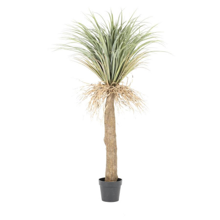 ARBORELE DE YUCCA SALBATIC MIC - POLIESTER/PLASTIC - MULTICOLOR - 102(L) x 137.5(h) x 102(l)