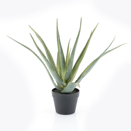 ALOE VERA - PLASTIC - VERDE -41(L) x 58.5(h) x 41(l)