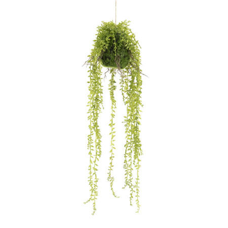 FICUS AGATAT - PLASTIC - VERDE - 13(L) x 56(h) x 13(l)