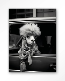 TABLOU - ALPACA IN TAXI - Img 4
