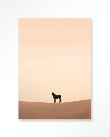 TABLOU - DESERT HORSE
