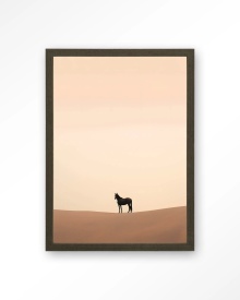 TABLOU - DESERT HORSE - Img 11