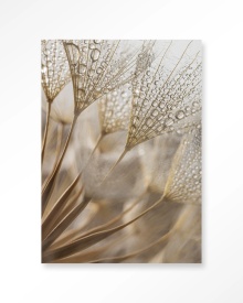 TABLOU - NATUURLIJKE ABSTRACTIE