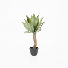 AGAVE PE TULPINA MICA - PLASTIC - VERDE - 46(L) x 81.5(h) x 46(l)