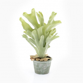 FERIGA STAGHORN MICA - PLASTIC - VERDE - 28(L) x 41(h) x 20.5(l)