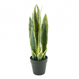 SANSEVIERIA MICA - PLASTIC - VERDE - 18(L) x 55(h) x 18(l)