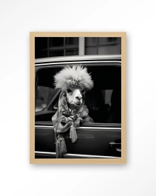 TABLOU - ALPACA IN TAXI - Img 11