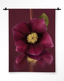 TABLOU - DE ELEGANTIE VAN DE KERSTROOS - Img 7